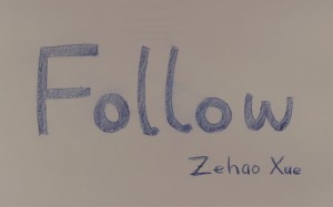 follow_poster
